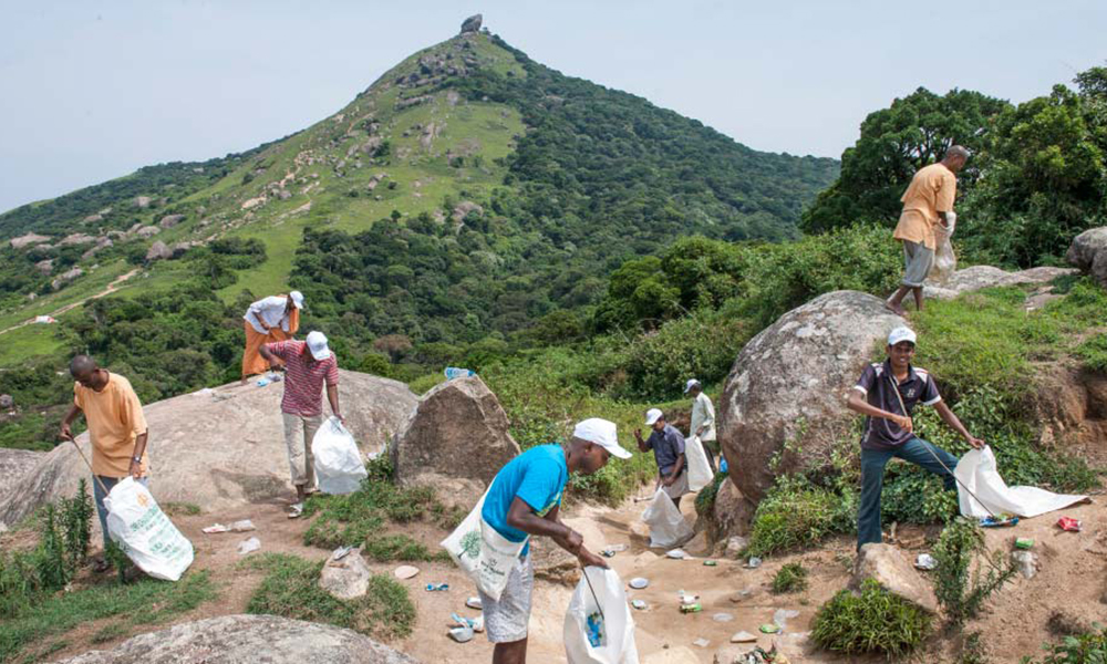 Cleaning Up Our Environment: What You Can Do to Help.