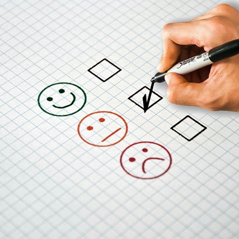 Why Do Consumers Write Bad Reviews?